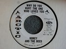 NORTHERN SOUL Honey and the Bees Why Do You Always Hurt... Arctic 141 Promo M-