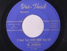 SPRINGERS: Every Night And Day / Closer And Closer 45 rare Soul