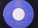 LEMONADE CHARADE: Hideaway Of Your Love / San Bernadino 45 (co) Rock & Pop
