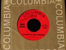 Moby Grape-Indifference/Sitting By The Window-RARE 1967 Psych 45-CLEAN