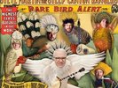 Steve Martin and The Steep Canyon Rangers Rare Bird Alert LP
