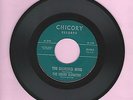 The Higher Elevation Diamond Mine Crazy Bicycle Chicory 45 Record Garage Psych
