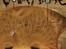 [VINYL NEW] INTRIGUER - CROWDED HOUSE