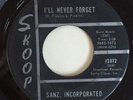 SANZ INCORPORATED I JUST WANT YOU-I'LL NEVER ON SKOOP SANTA CLAUS INDIANA GARAGE