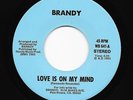 Sweet/Modern Soul 45 BRANDY Love Is On My Mind/Lovers Song HEAR Low Rider RARE