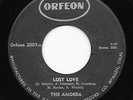 Rare Texas Garage Punk 45 THE AMOEBA Lost Love/Time Is On My Side Orfeon HEAR
