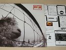 PEARL JAM - VS / VERSUS - LP + INNER 1993 NM  CLASSIC ALTERNATIVE LISTEN