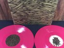 Isis In The Absence Of Truth Vinyl Lp/200 neurosis sumac old man gloom godflesh