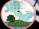 SPOOKY TOOTH You Broke My Heart So ...I Busted Your Jaw 1973 UK ISLAND - NM