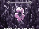 Serpentine Gallery [VINYL] Switchblade Symphony Vinyl