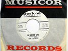 CRITTERS 45 I'm Gonna Give / Georgianna NEAR MINT Rock N Roll PROMO Musicor s283