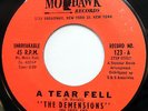 DEMENSIONS 45 A Tear Fell / Theresa NEAR MINT Doo Wop ORIGINAL Mohawk cc1224