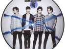 Five Seconds Of Summer 5 Seconds Of Summer RSD limited picture disc vinyl LP new