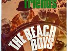 BEACH BOYS 45 Friends / Little Bird NEAR MINT Surf RARE Pic Sleeve ITALY e377