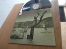TONTON MACOUTE SAME LP 1971 RCA NEON MINT 1st Press