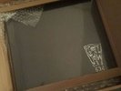 Pearl Jam Vault #4 Live in Bellingham WA vinyl release 05/10/2000 New Ten Club
