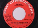 SEEDS: The Wind Blows Your Hair / 6 Dreams 45 rare Rock & Pop