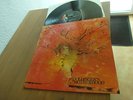MOTHERHOOD (DOLDINGER) SAME LP 1970 MINT KRAUT. MONSTER