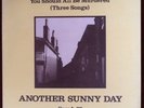 ANOTHER SUNNY DAY - YOU SHOULD ALL BE MURDERED P/S 7