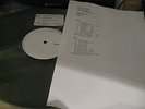 UK SUBS - White Label TEST PRESSING Vinyl LP 'Endangered Species' (1 of only 5)