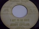 Johnny Copeland 45RPM I Got To Go Home 7