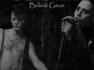 SHE PAST AWAY Belirdi Gece LP VINYL 2014 LTD.500