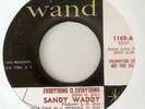 SANDY WADDY Everything Is Everything WAND PROMO  NORTHERN SOUL 45