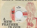 Hear - Rare Popcorn/Soul 45 - Joel Warren - Evil Boll Weevil - Kapp Records - M-