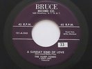 HARP-TONES A Sunday Kind Of Love I'll Never Tell Bruce Doo Wop Harptones 45 HEAR