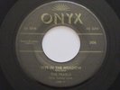 PEARLS Tree In The Meadow My Oh My Onyx Doo Wop 45 HEAR