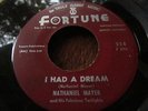 NATHANIEL MAYER DETROIT D J R&B SOUL ROCKER  FORTUNE RECORDS I HAD A DREAM #554