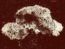 Array 1 - Loop (2015, Vinyl New)
