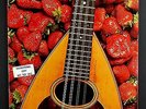 STRAWBS 