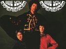 JIMI HENDRIX EXPERIENCE**ARE YOU EXPERIENCED (180G)**VINYL