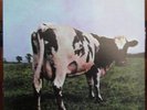 PINK FLOYD: ATOM HEART MOTHER - 200 GR. ANADISC MOFI MFSL 1-202 LTD ED. 4794 NM