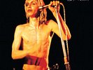 IGGY AND THE STOOGES MORE POWER CLEOPATRA RECORDS LP VINYLE NEUF NEW VINYL