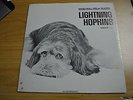 Lightning Hopkins - Original Folk Blues - Very Rare 12'' Vinyl LP VG+