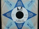 THE ENCHANTED FOREST: The Word Is Love   1967 GIRL GARAGE MOD   Hear   PROMO