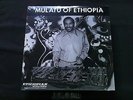 Mulatu Astatke Mulatu Of Ethiopia LP Reissue Neu