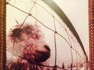 Pearl Jam Vs. Original 1993 Epic Nm Grunge Metal Punk Psych Nirvana