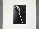 Toshi Tsuchitori - Solo Drums Ajagara LP - avant garde jazz drum