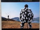 Pink Floyd Live Delicate Sound Of Thunder  Vinyl Album LP
