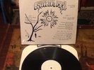 Grateful Dead The cowboys dead Live At harpur 1970 Nm