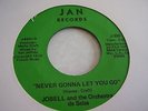 JOBELL AND THE ORCHESTRA DE SALSA;NEVER GONNA LET YOU GO.JAN RECORDS J-300