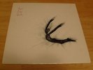 SUN CITY GIRLS S/T LP SELF TITLE PRIVATE PRESS PLACEBO 1984 PSYCH SONIC YOUTH