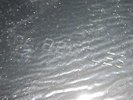 The Beatles Black Album Sealed TWK 0169 A IYHO-10 Rare