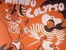 VARIOUS - Mambo Calypso - Vinyl (LP)