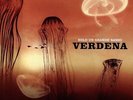 VERDENA SOLO UN GRANDE SASSO DOPPIO VINILE LP 180 GRAMMI NUOVO E SIGILLATO 