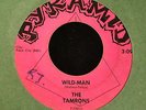 HEAR IT RARE NC PUNK GARAGE The Tamrons Pyramid 7381 Wild Man