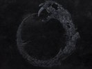 COFFINWORM - IV.I.VIII NEW VINYL